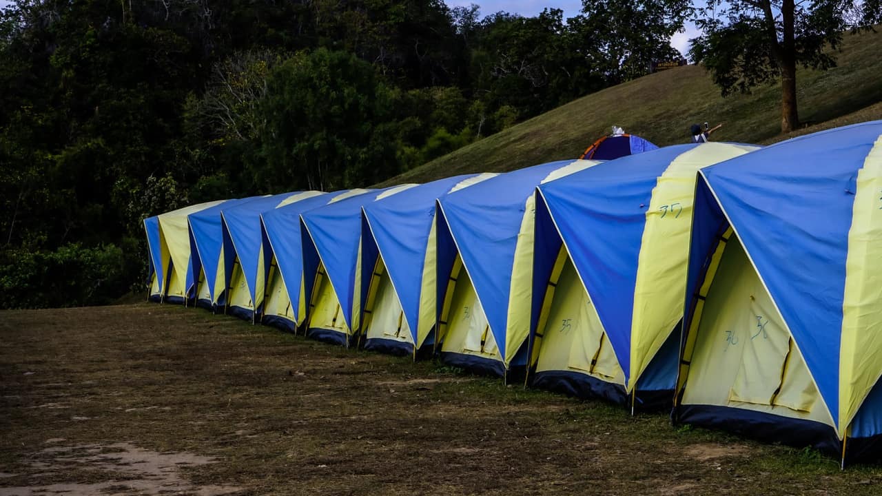A dome tent pitched on flat ground at a wooded campsite